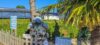 animaux-mascotes-fouras_15