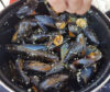 Plat de moules servie au camping de Fouras