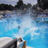 enfants jouant dans la piscine