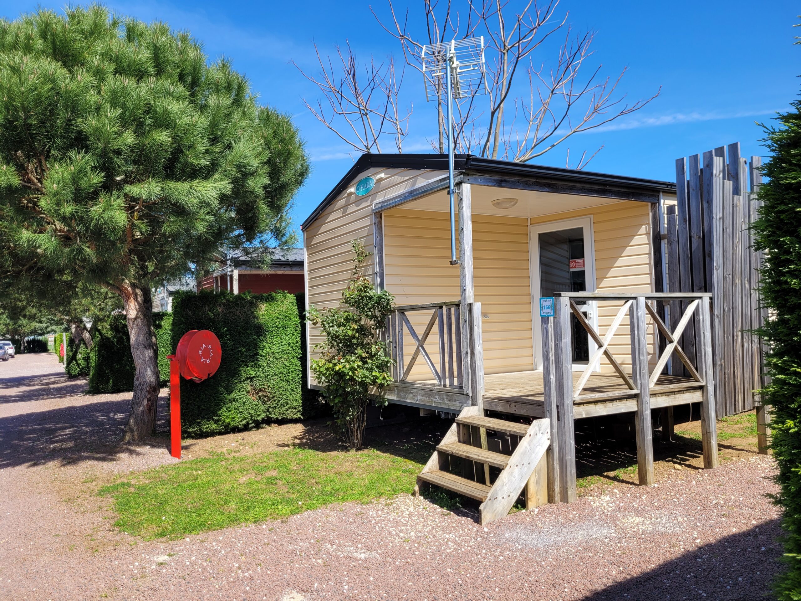 20230408 144157 scaled