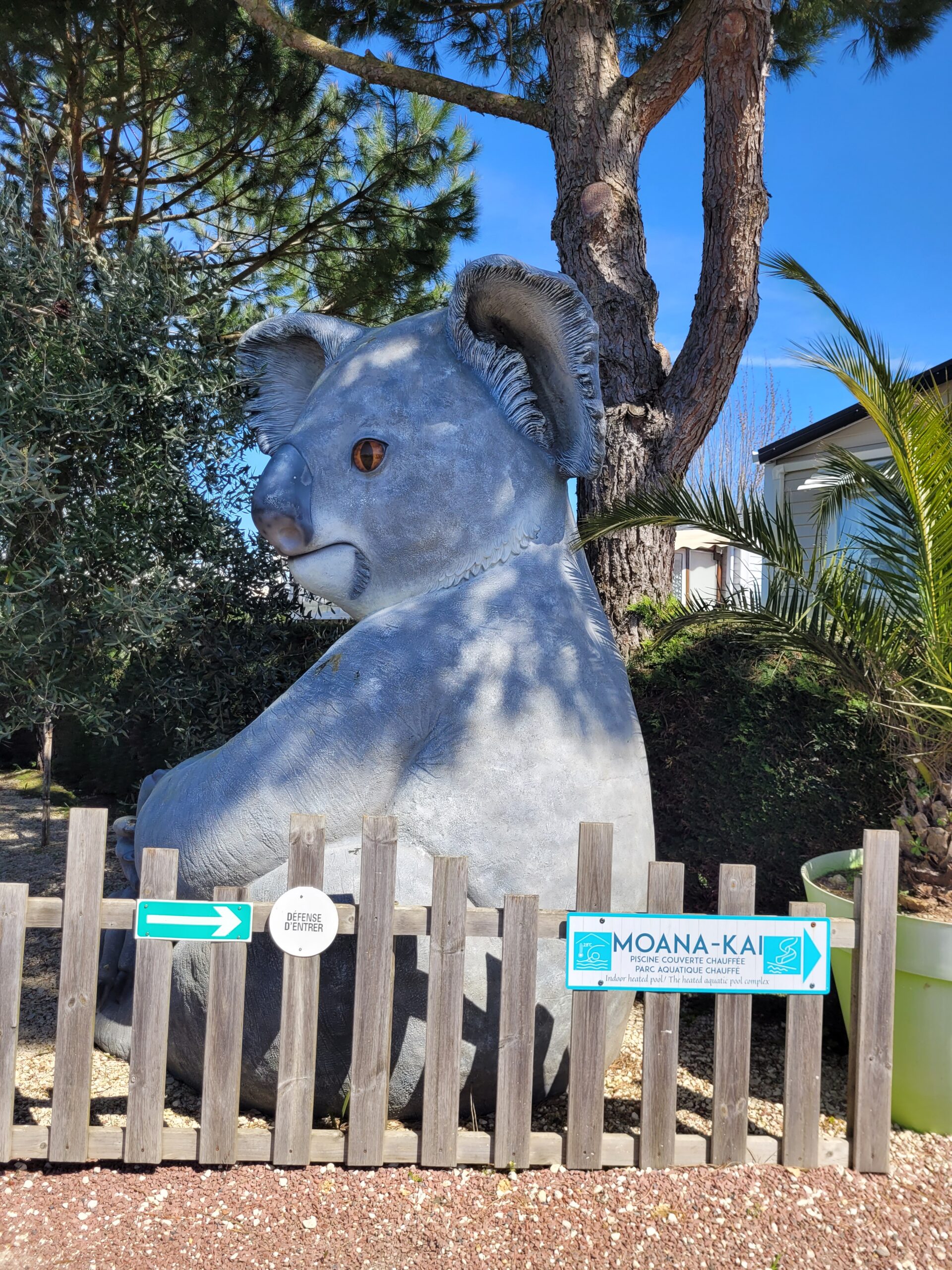 20230408 144629 scaled